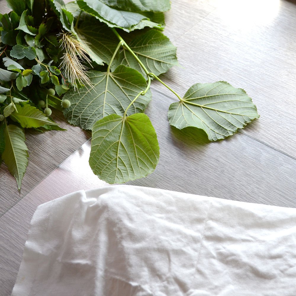 sun-printing fabric with leaves